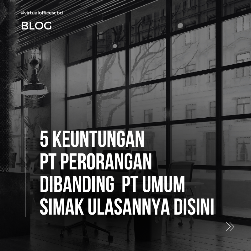 image PT Perorangan dan 5 Keuntungan yang bisa di dapat